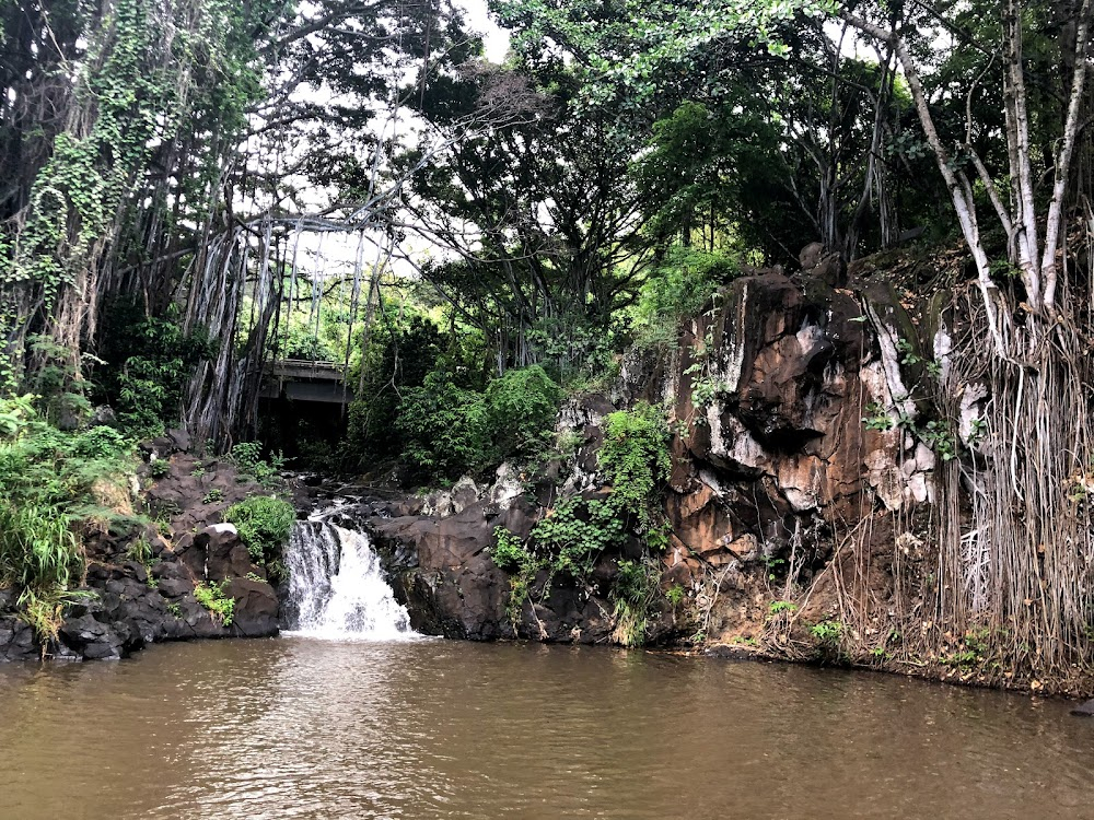 Iki Haole: Nico's Hawaiian Adventure : waterfall and swimming scene