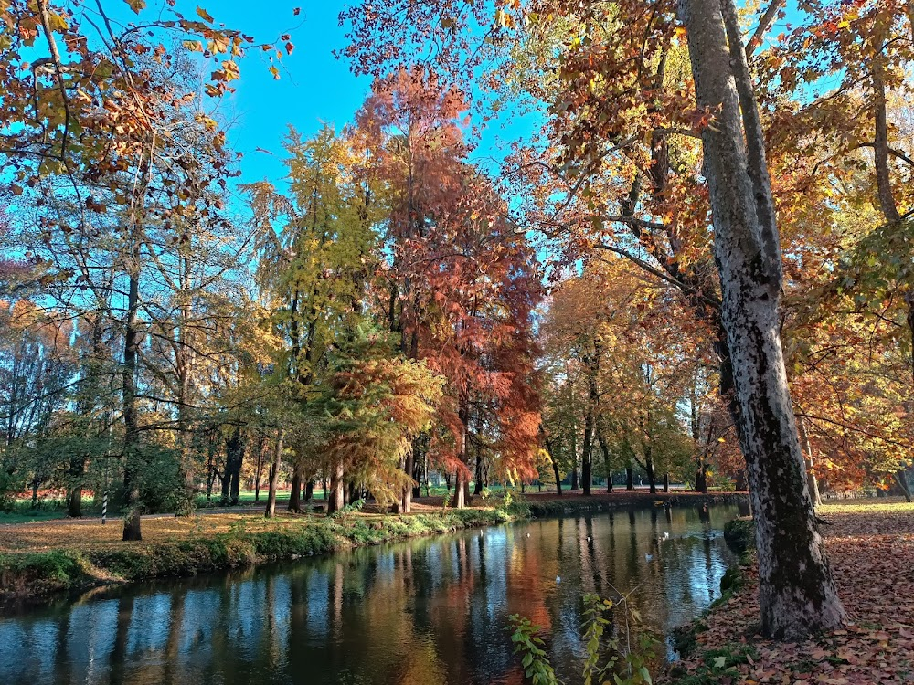 Il Festival del proletariato giovanile al Parco Lambro : 