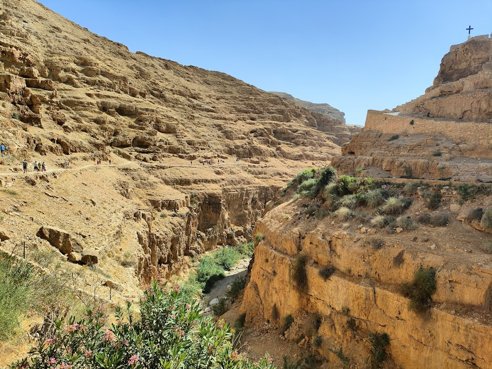 Ils sont partout : Desert