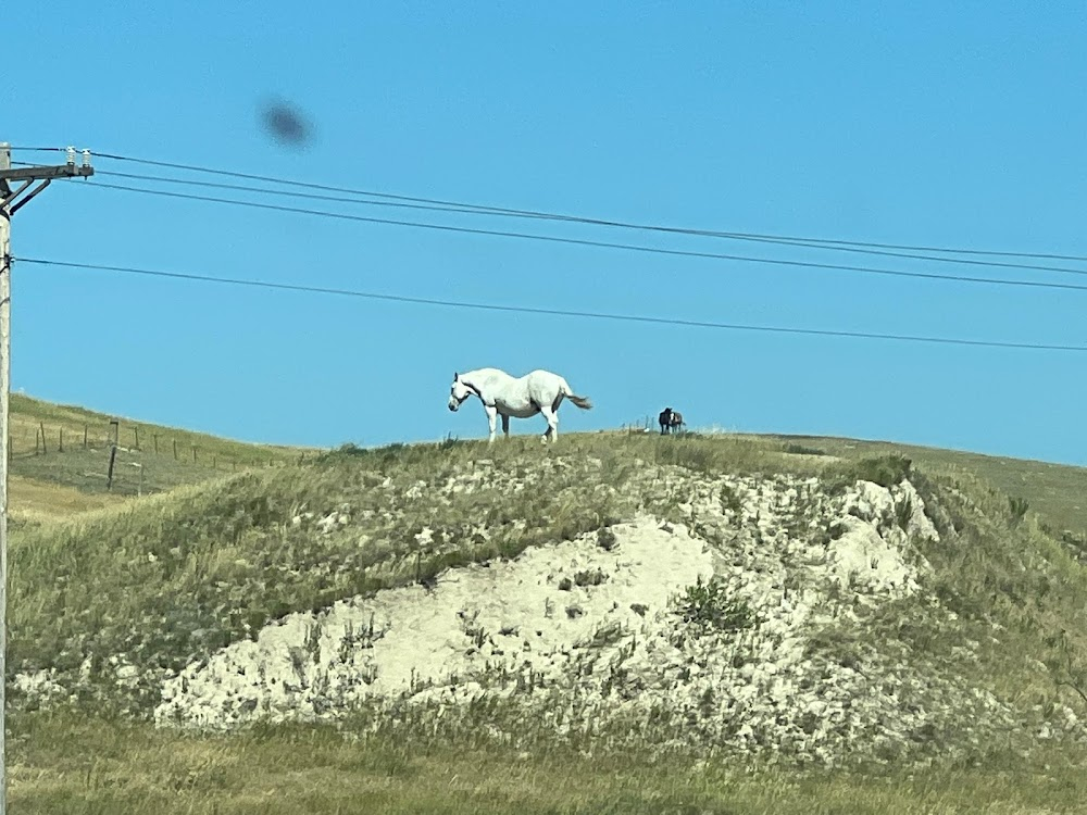 Incident at Oglala : 