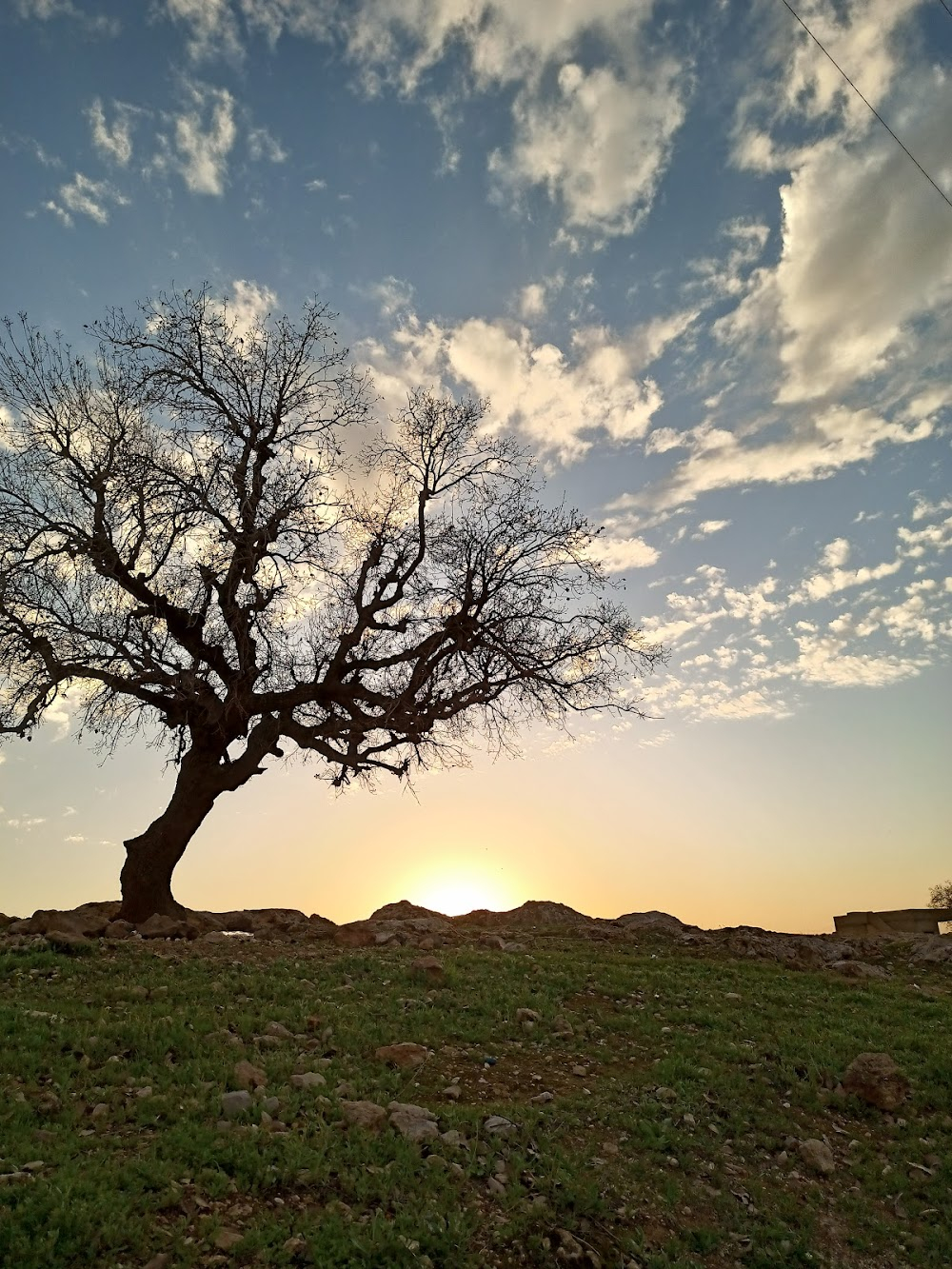 Inshallah walad : Nawal's neighborhood