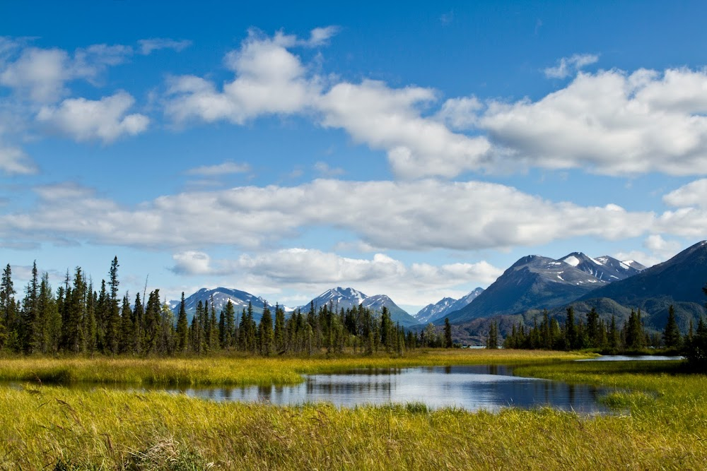 Into Alaska : 