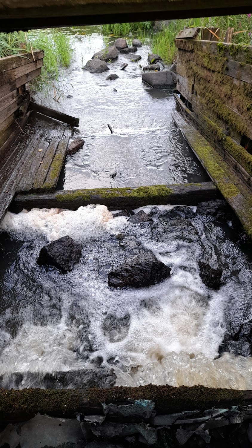 Kuisma ja Helinä : rapids