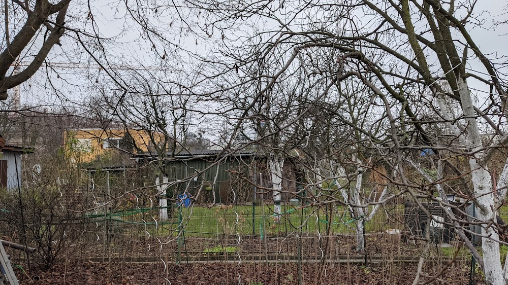 Italienischer Bauerntanz : Studio