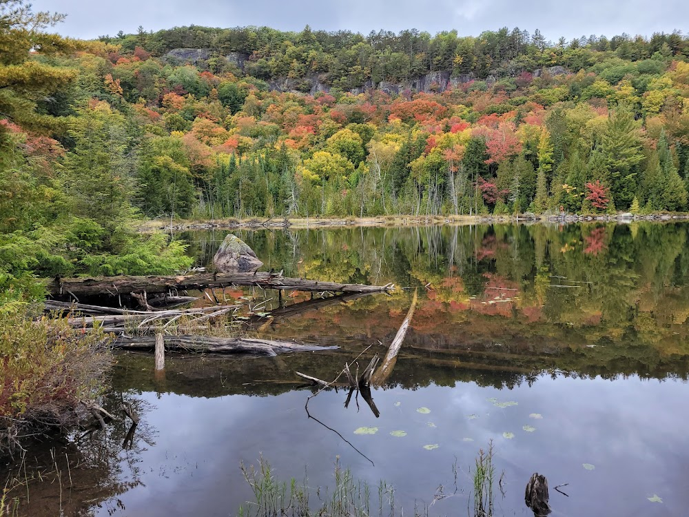 Quebec in Summertime : 