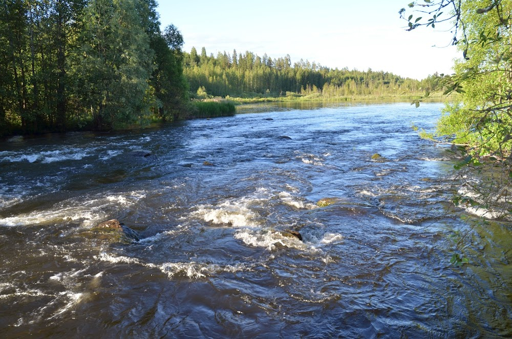 Järven tarina : 