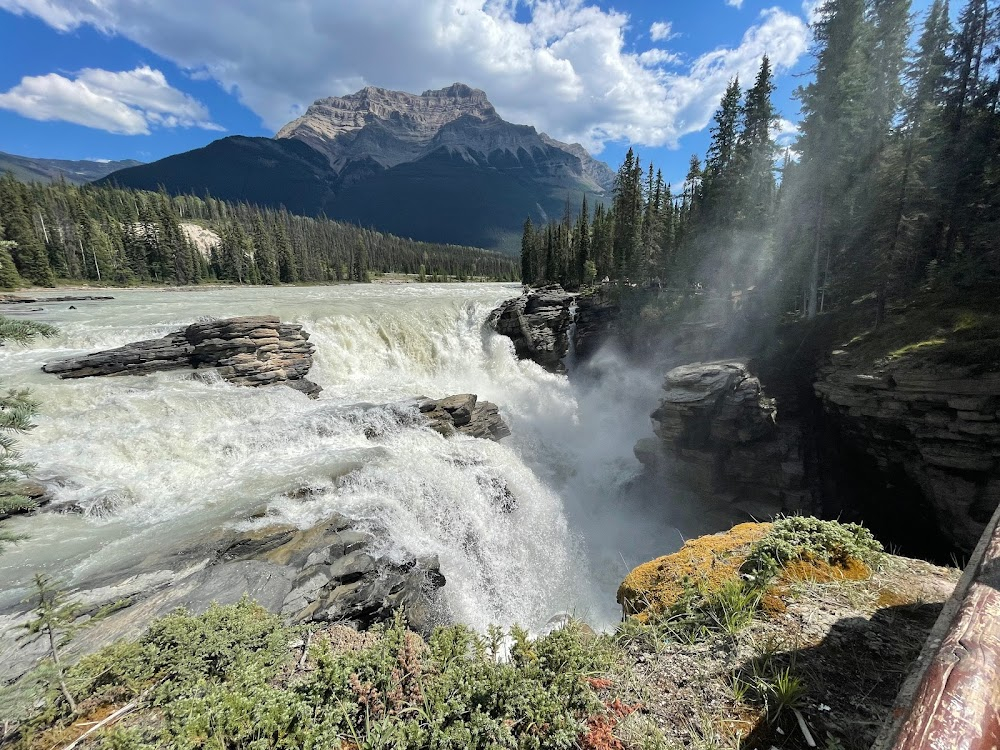 Jasper National Park : 