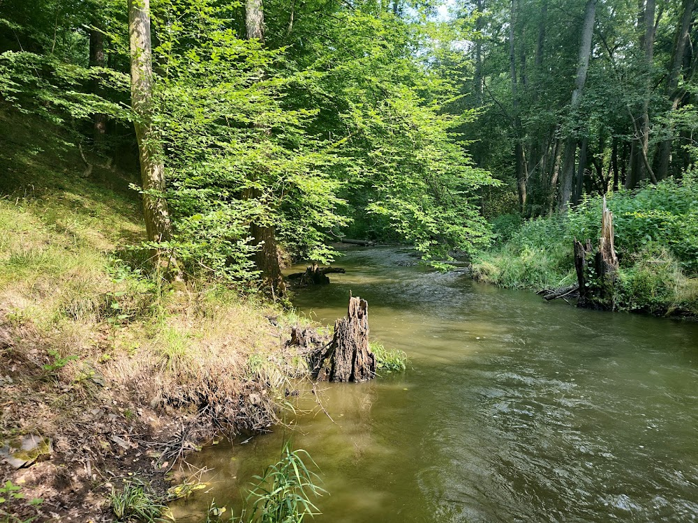 Jezerní královna : Valley