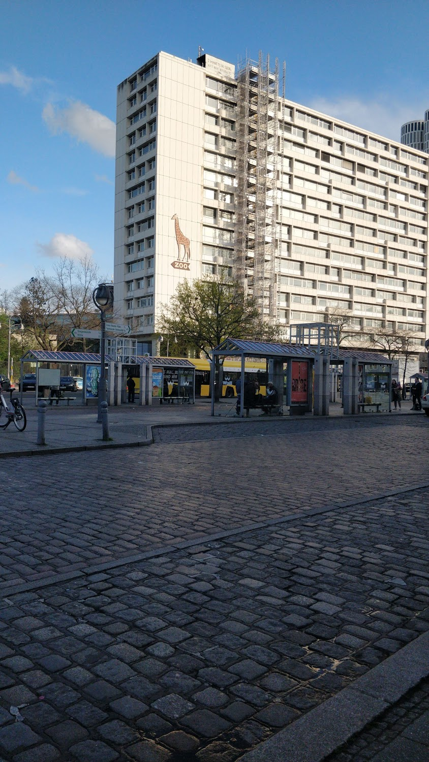 Berlin - Sinfonie einer Großstadt : 