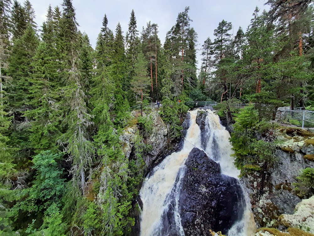 Jungfrukällan : 