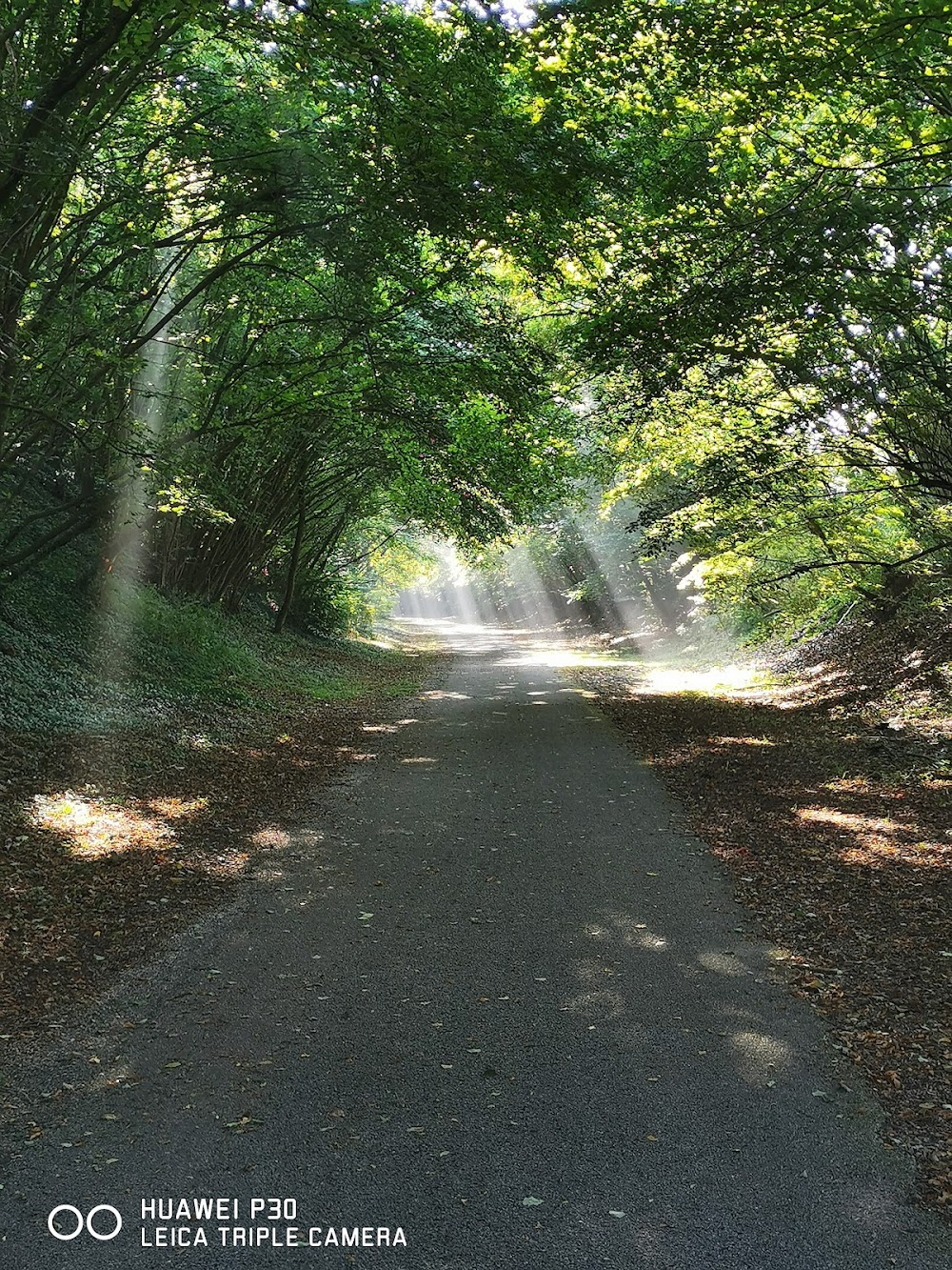 J'veux du soleil! : 