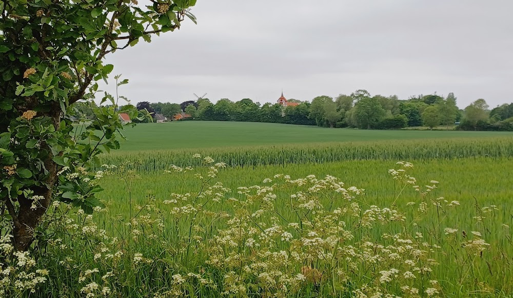 Kærlighed for voksne : Garden café and wedding church