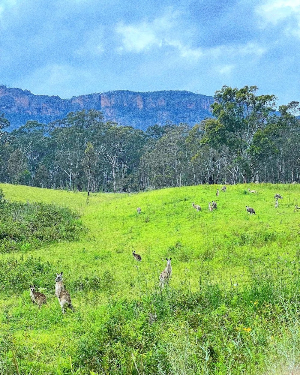 Kangaroo Valley : on location