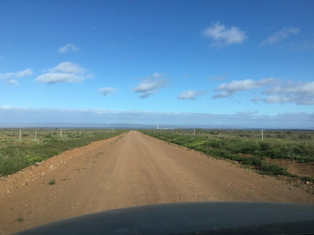 Kangaroo : Rooloora Station