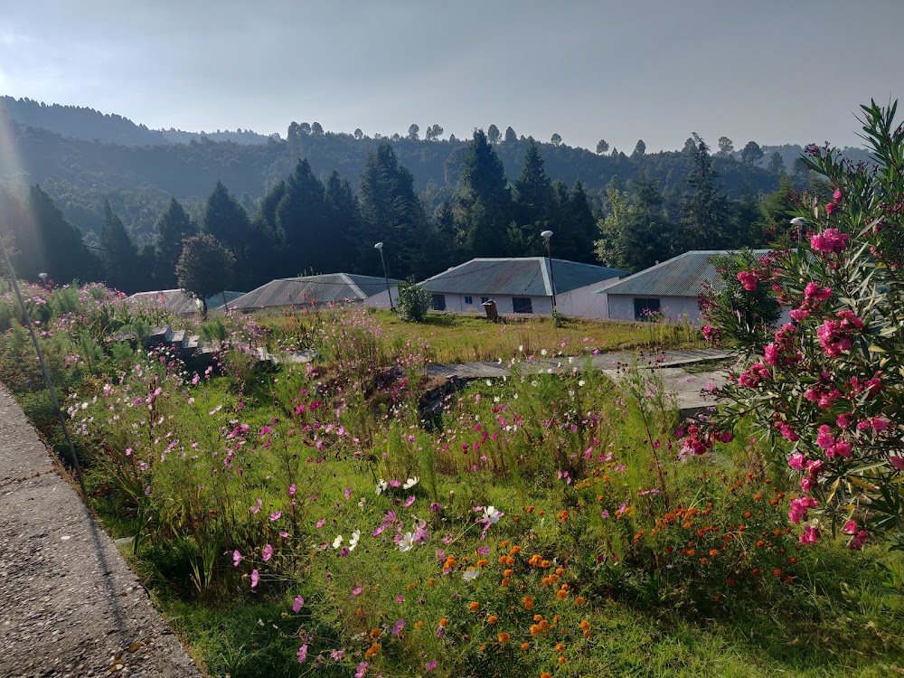 Kaphal: Wild Berries : Exterior