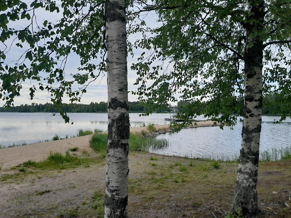 Kasvukausi : 