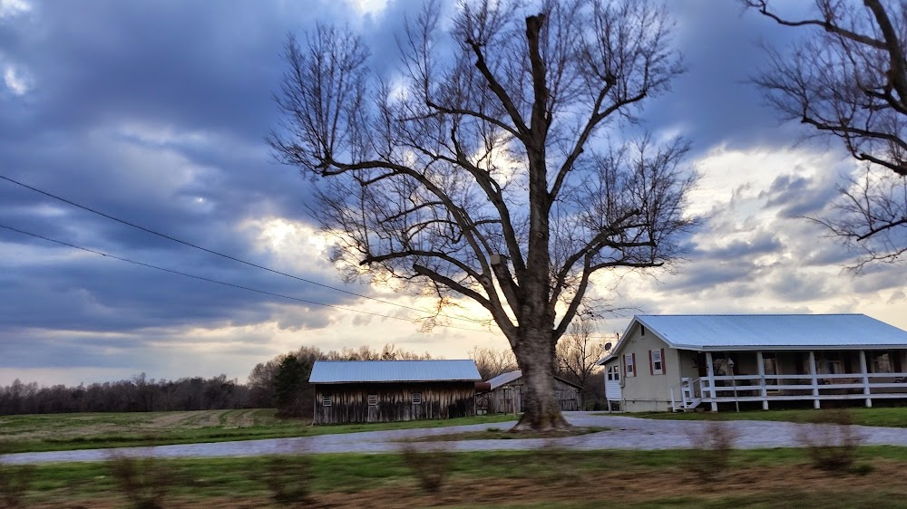 Kentucky Teenage Vampires : 