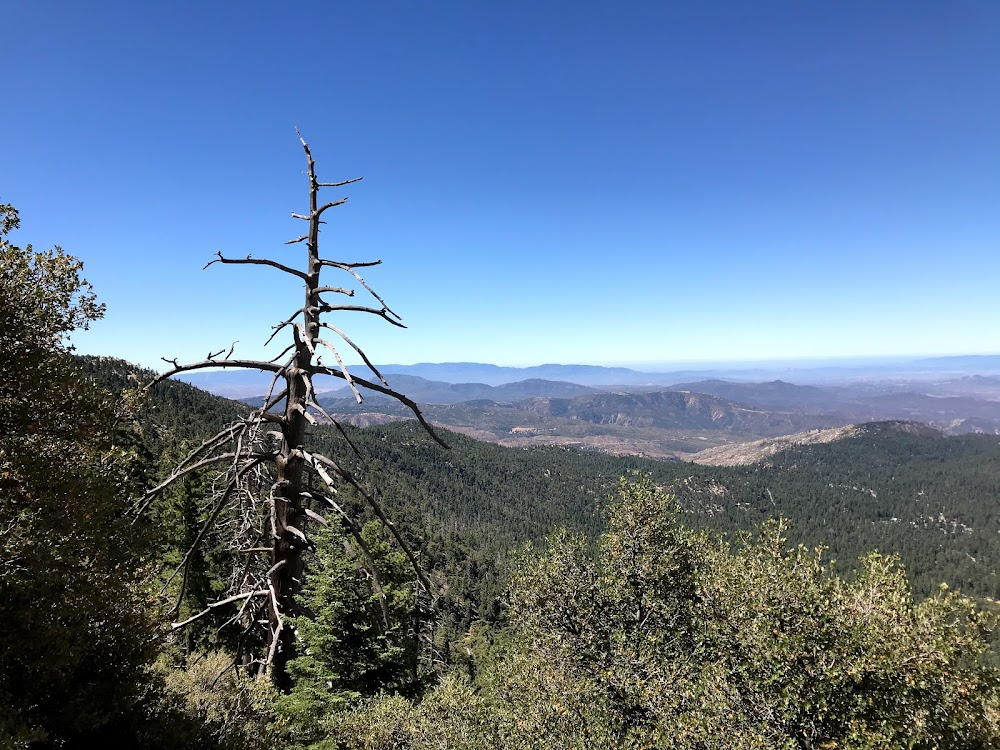 Kid Galahad : bare granite knob in background high above Grogan's training camp