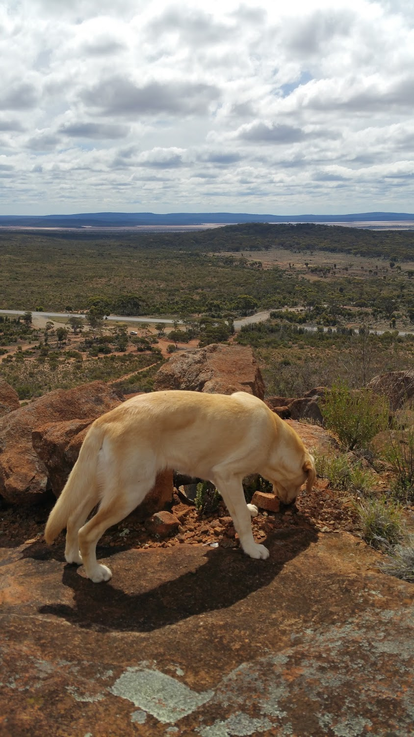 The Nullarbor Nymph : 