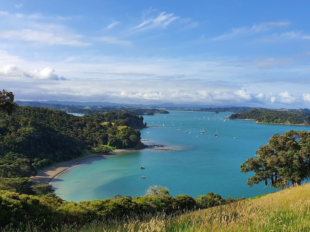 Kiwi Christmas : 