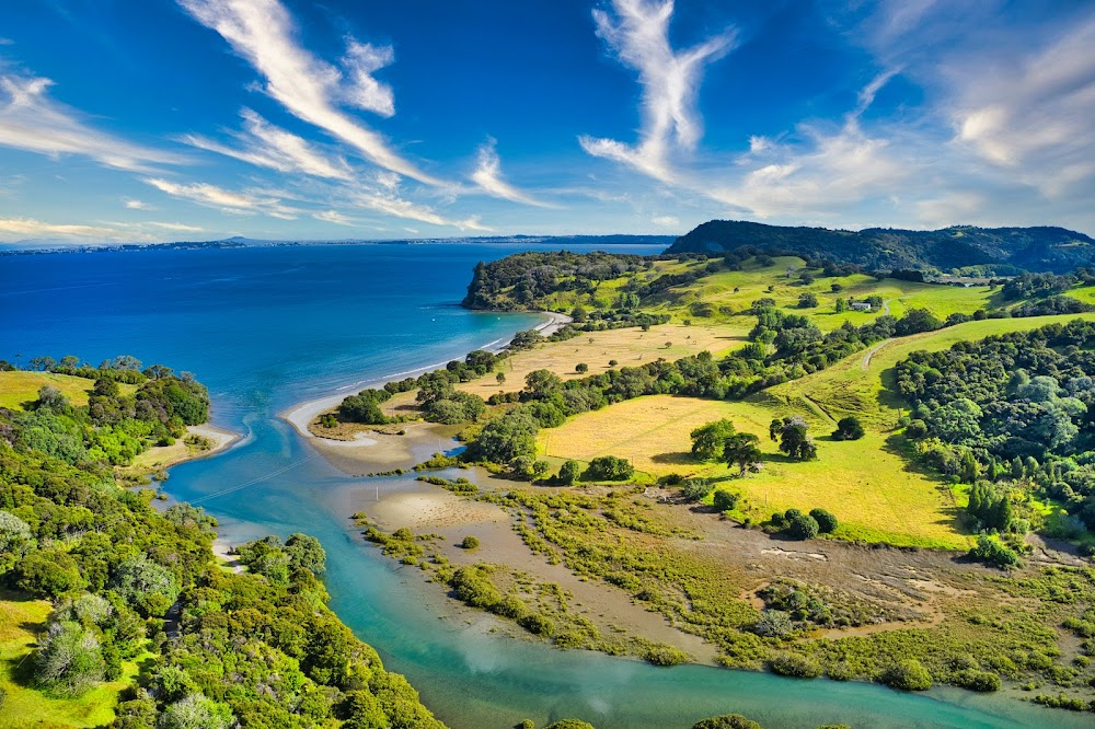 Kiwi Christmas : camping ground