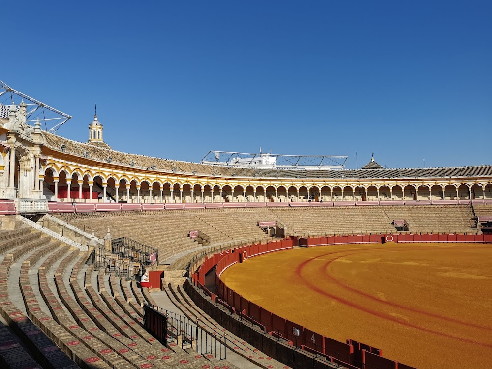 Dos novias para un torero : 