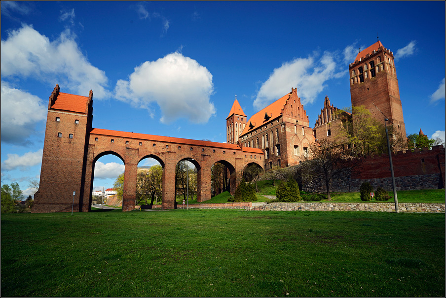 Korona królów : Malbork Castle