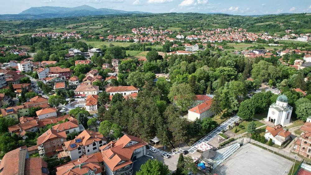 Kost od mamuta : Hotel Zdravljak, Sokobanja