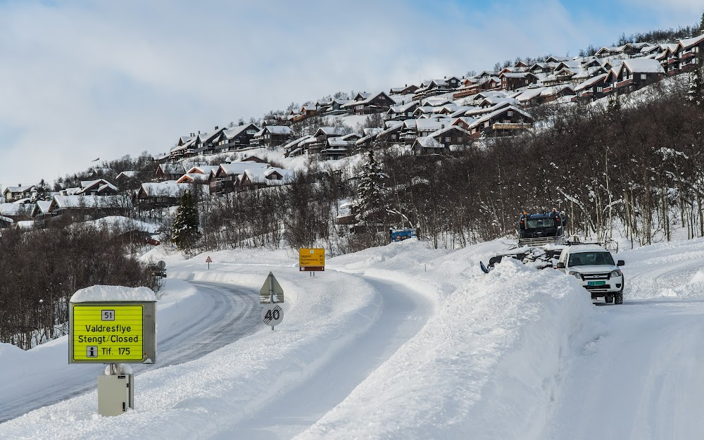 Lykkens grøde : 