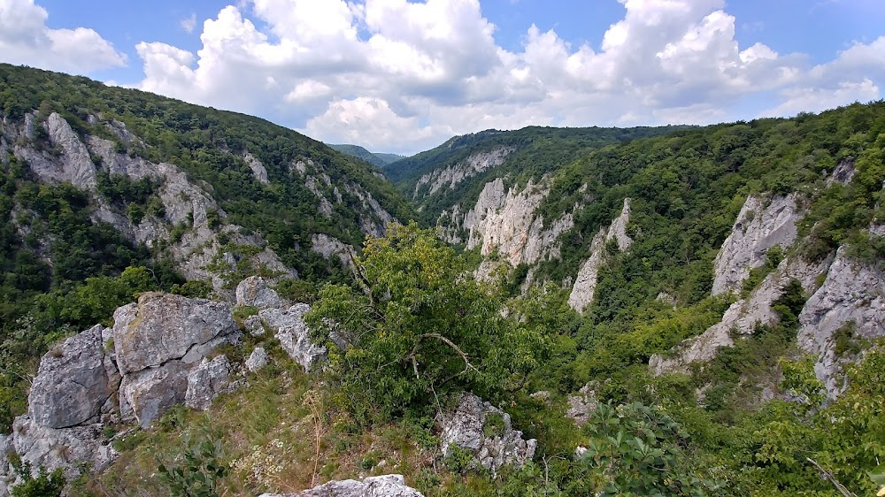 Krajina s vônou medu : 