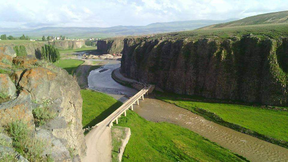 Kuru Otlar Üstüne : canyon