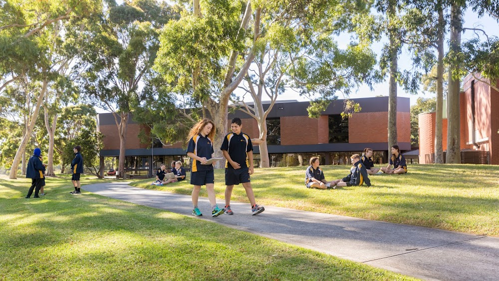 Neighbours : Erinsborough High School