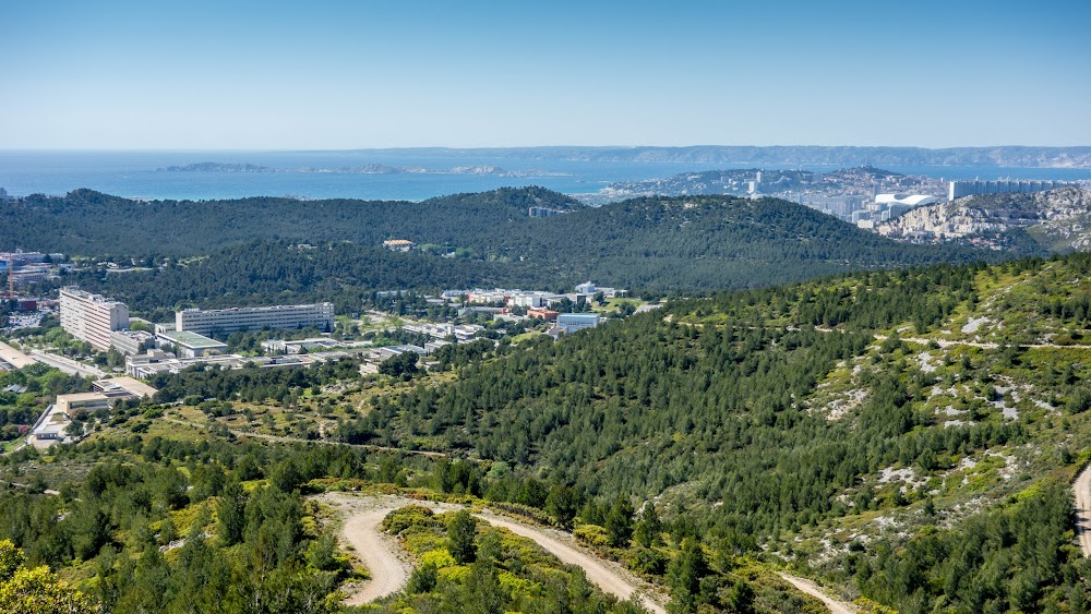 La brindille : campus