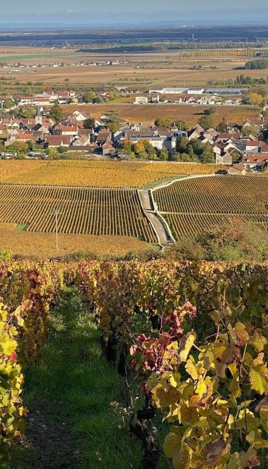 La clef des terroirs : Exterior