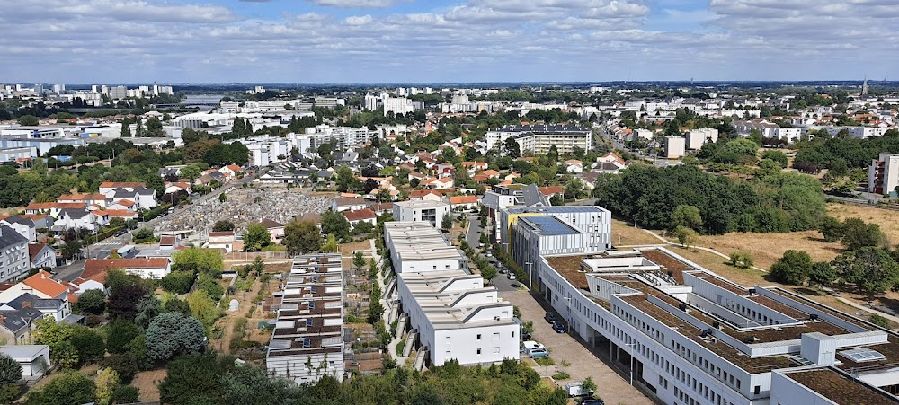 La reine blanche : Trentemoult neighbourhood