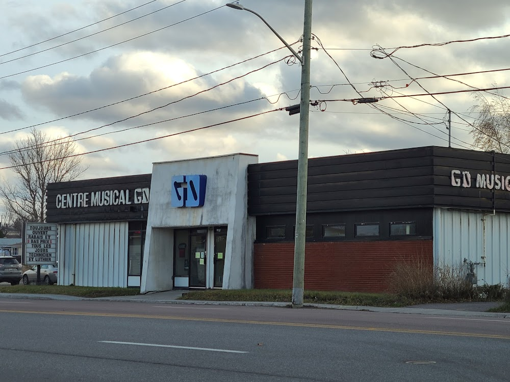 La disparition des lucioles : Steve goes to the music store