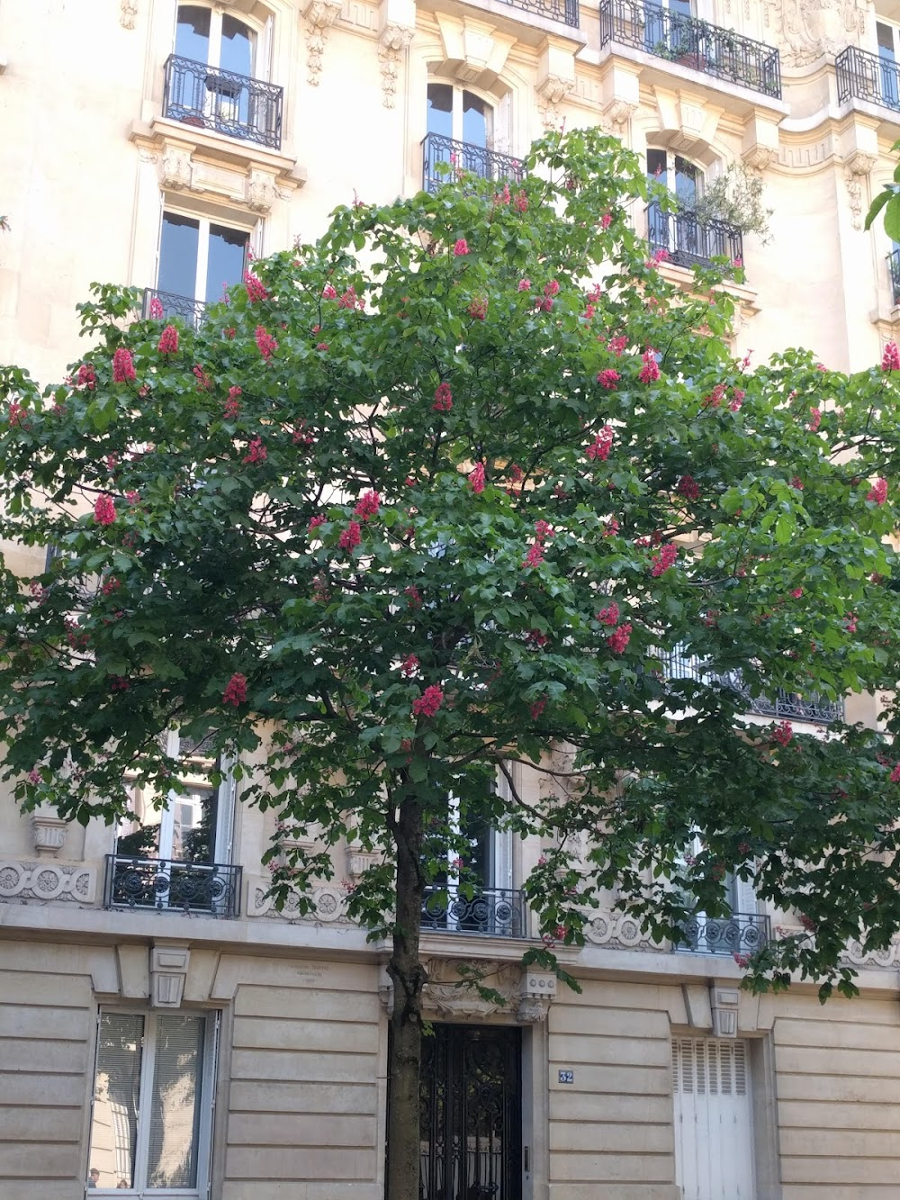 Until September : apartment: Xavier de la Pérouse