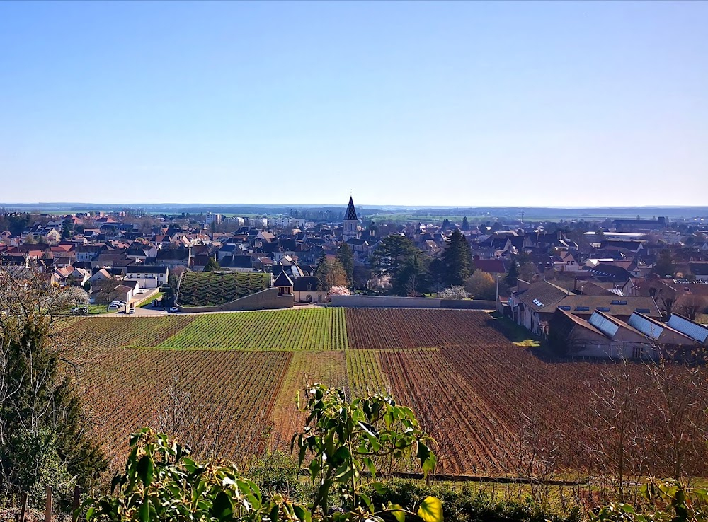 La clef des terroirs : interiors