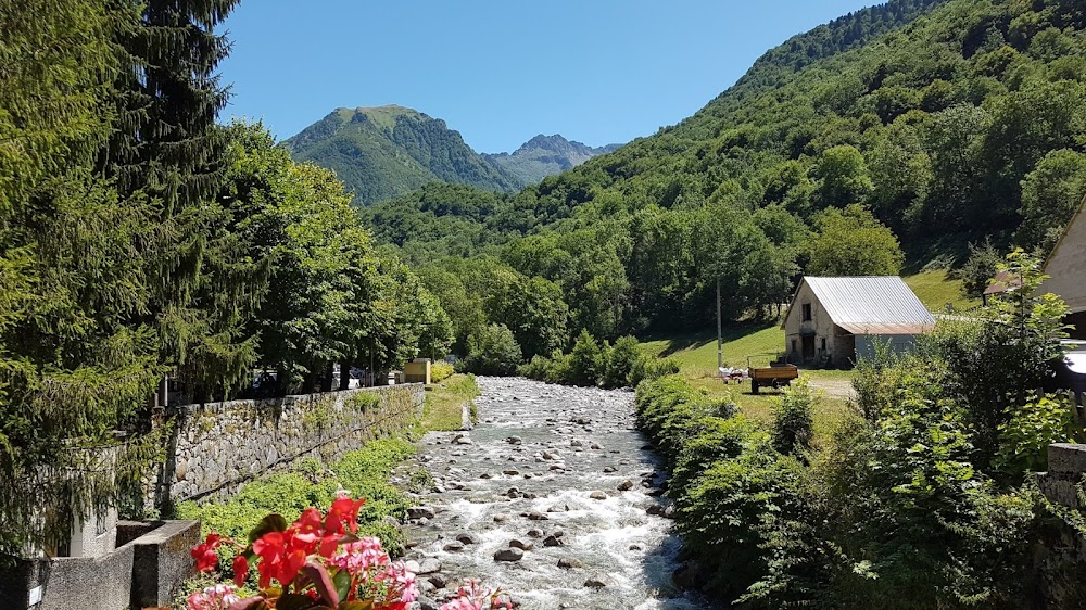 La lumière du lac : 