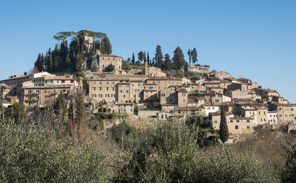 La mia ombra è tua : 