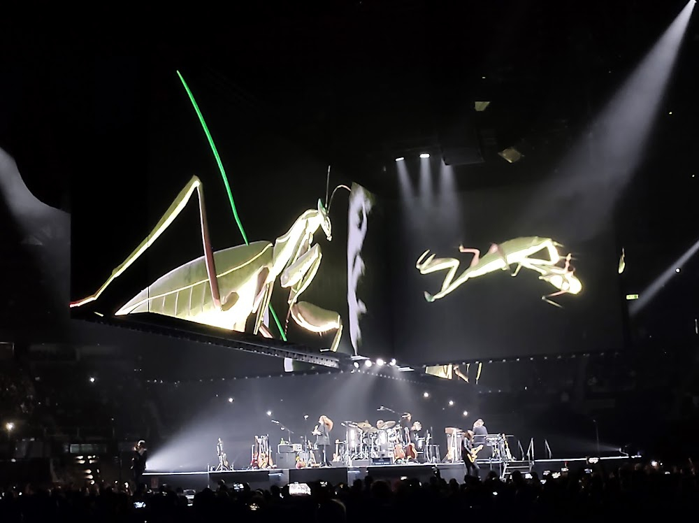 Sabino, Palacio De Los Deportes : Mexico City