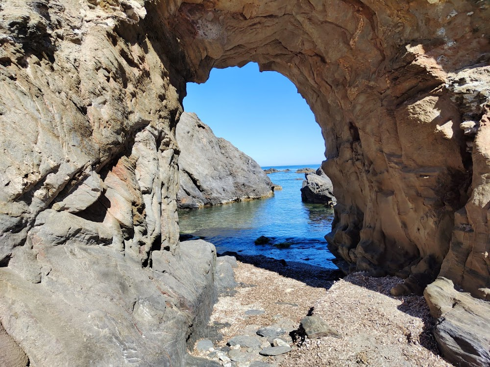 La peste : beach scenes