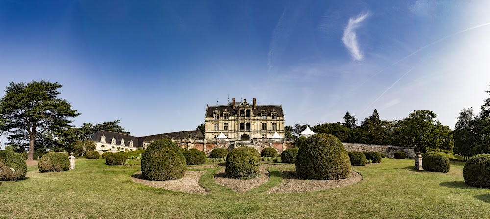 La princesse de Clèves : Loire