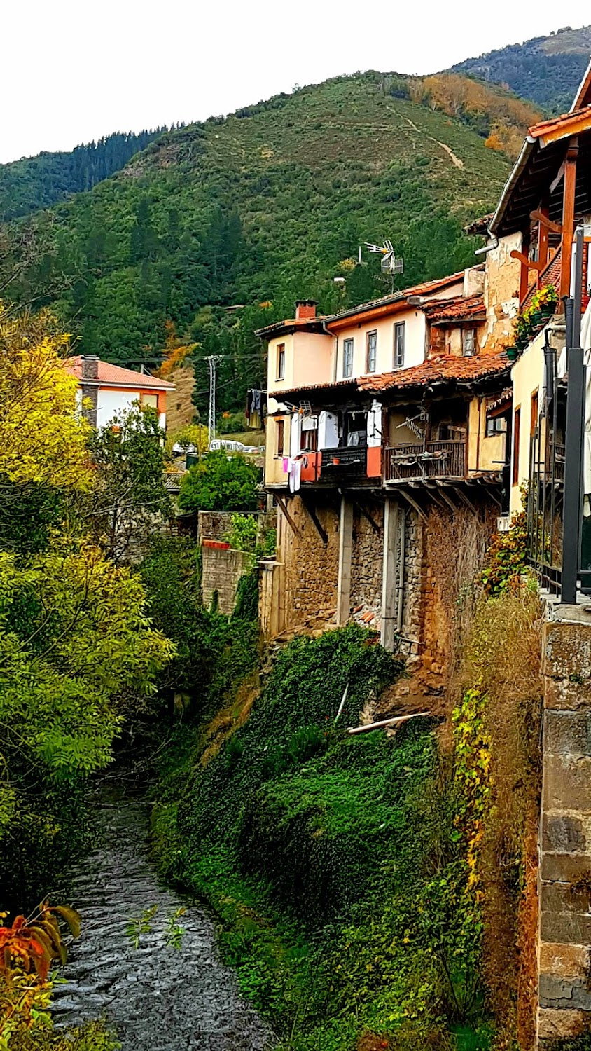 La ràbia : 