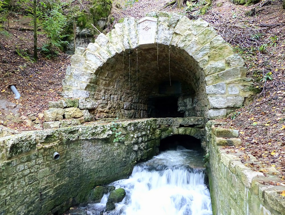 La truite : trout farm in France