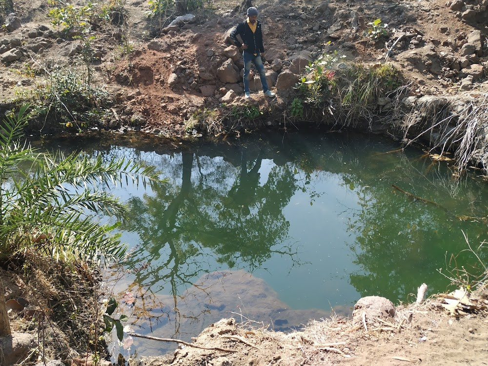 Laapataa Ladies : Sehore Madhya Pradesh India