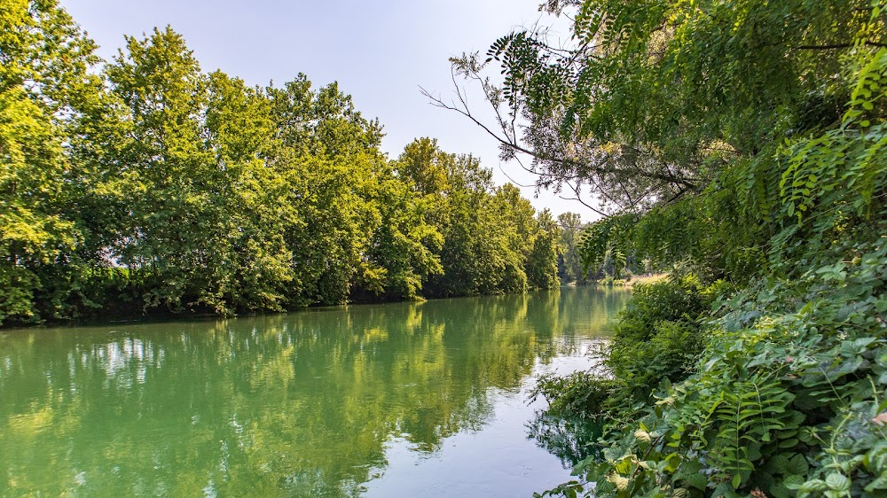 L'albero degli zoccoli : 