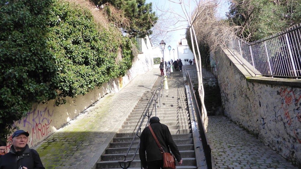 L'animal : Michel walks down the streeets of Montmartre on his way to the bar