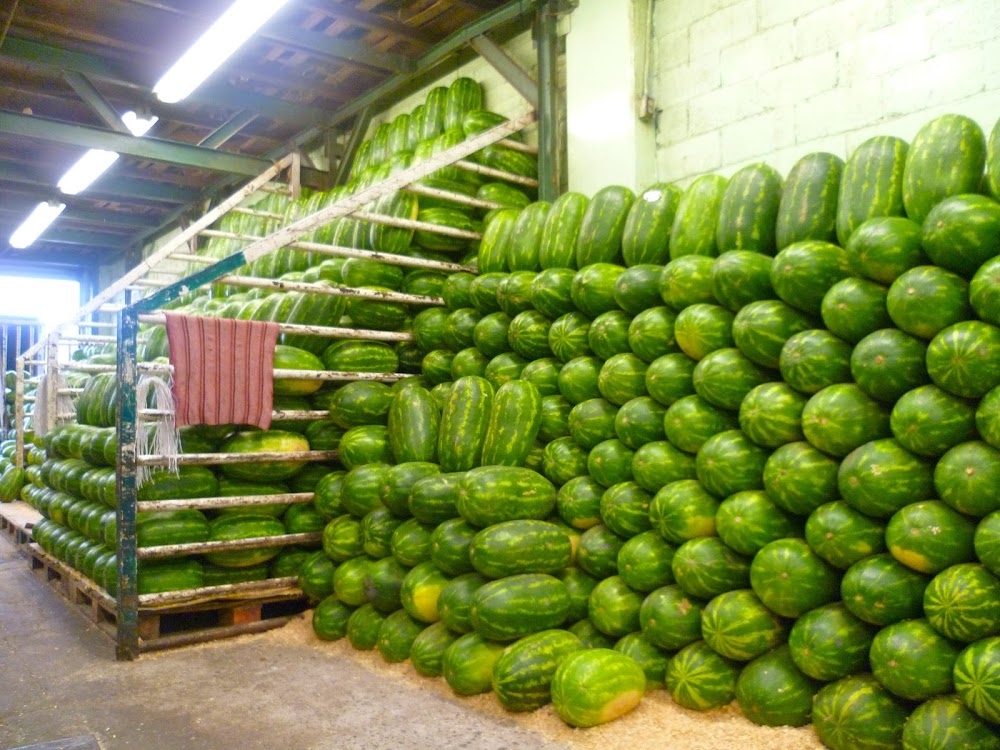 Las vías del amor : Lety's Market