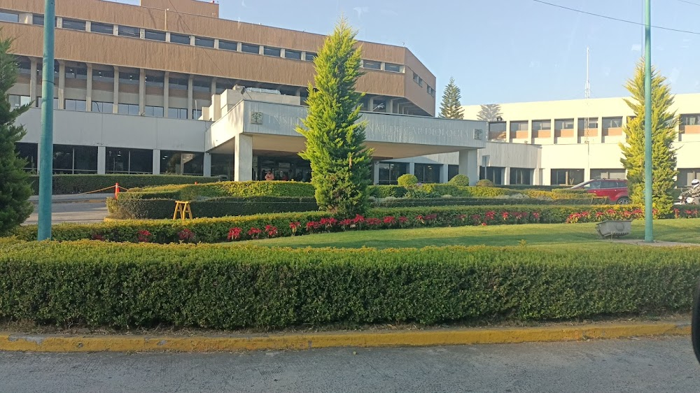 Soñadoras : Hospital del Bosque